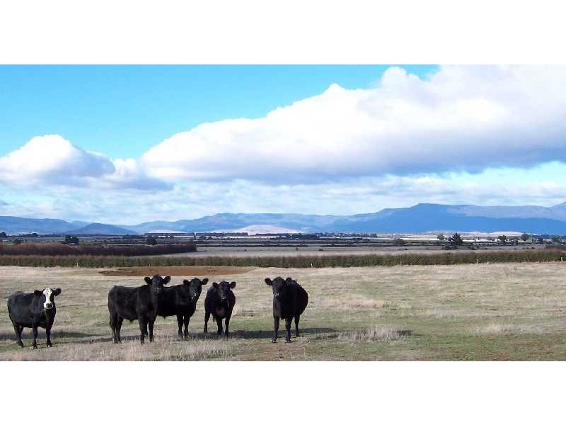 340 Green Rises Road, Cressy TAS 7302