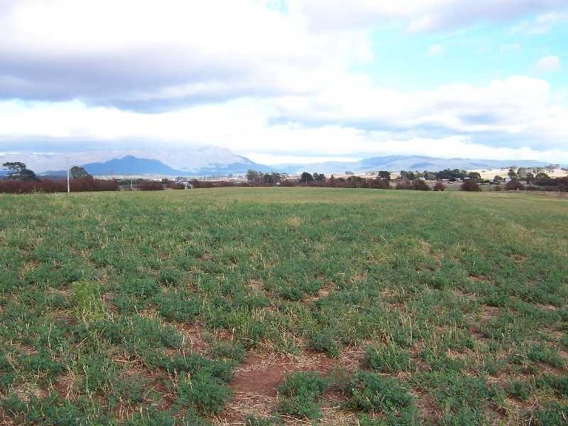 340 Green Rises Road, Cressy TAS 7302