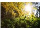 229 Lalla Road, Lalla TAS 7267