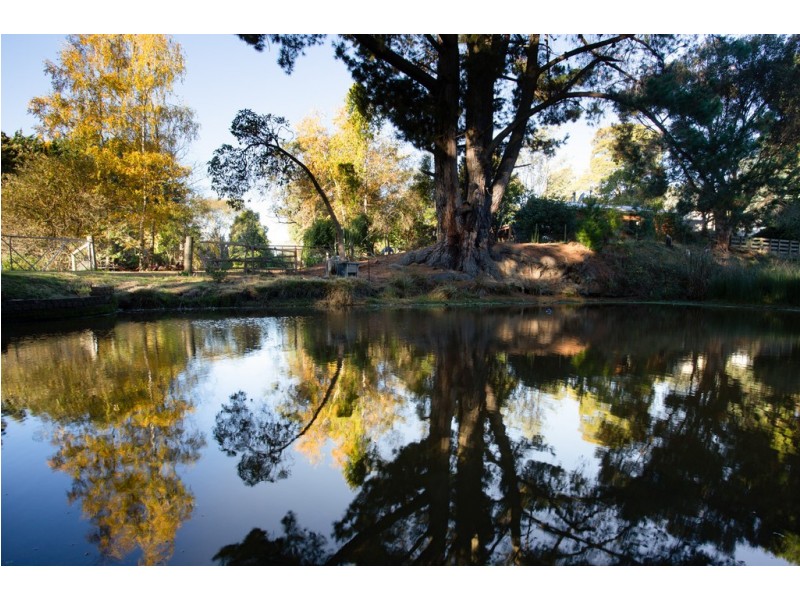 229 Lalla Road, Lalla TAS 7267