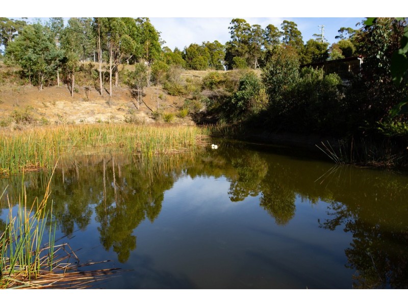 49 Yelton View Road, Notley Hills TAS 7275