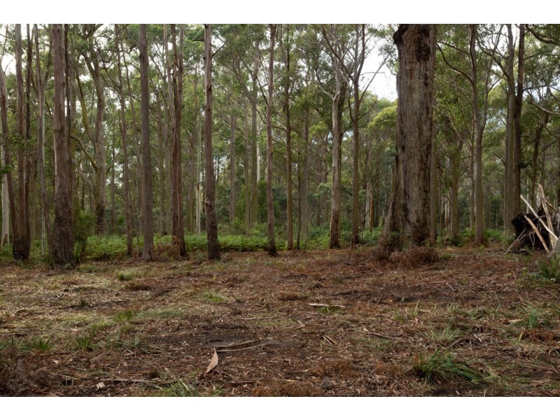 49 Yelton View Road, Notley Hills TAS 7275