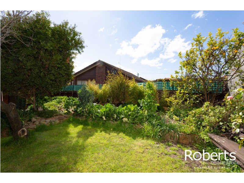 37 Bronzewing Ave, Newnham TAS 7248