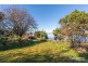 411 Windermere Road, Windermere TAS 7252