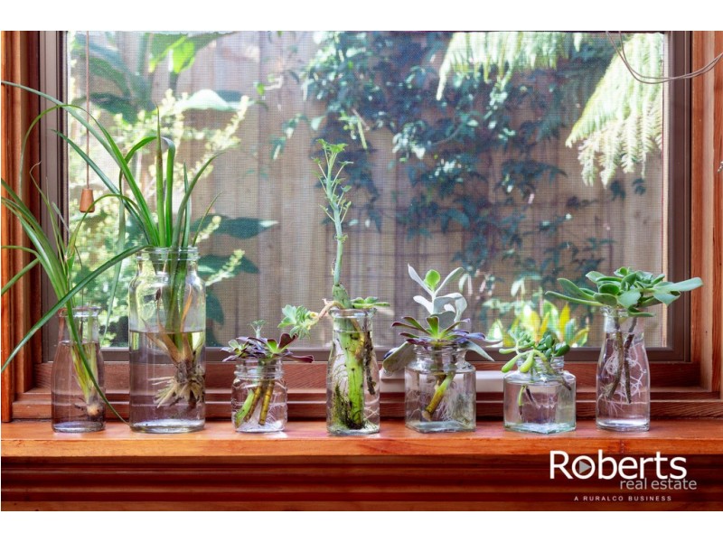 57 Melbourne Street, South Launceston TAS 7249