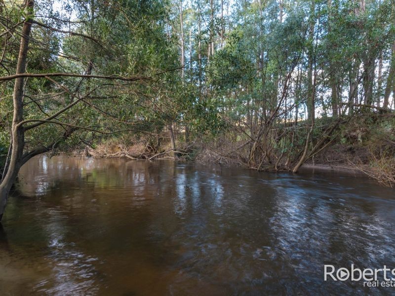 397 Jensens Road, Scottsdale TAS 7260