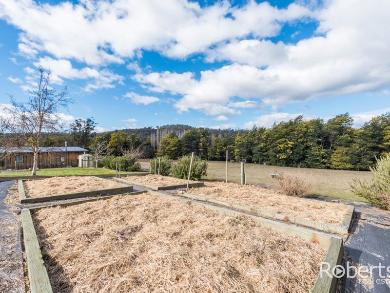 397 Jensens Road, Scottsdale TAS 7260