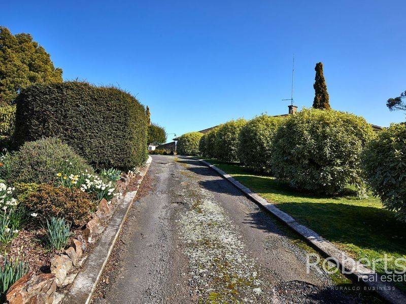 193 Pennells Road, Scottsdale TAS 7260