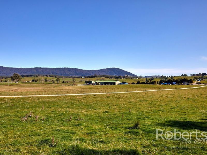 193 Pennells Road, Scottsdale TAS 7260