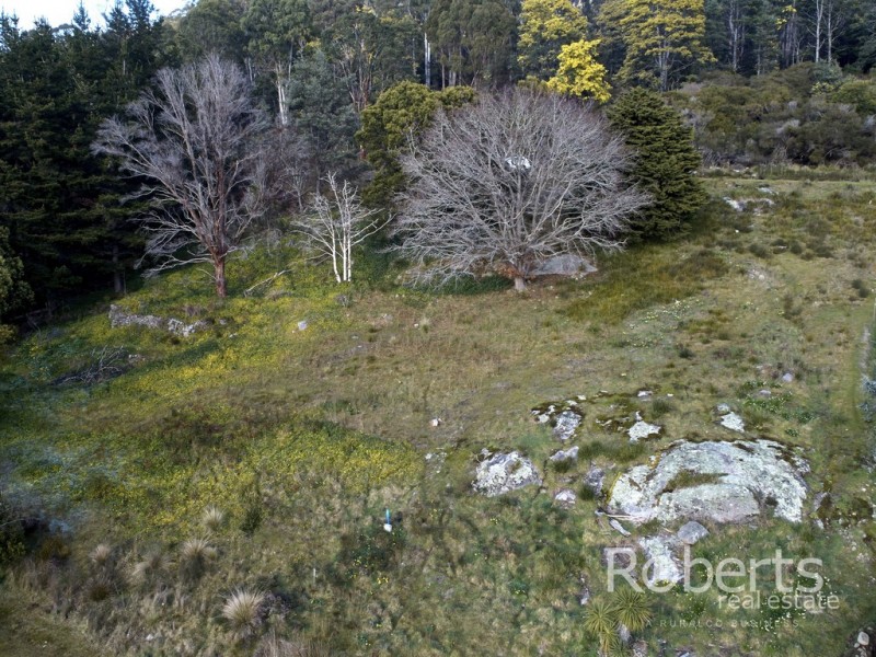 10 Mulhern Street, Derby TAS 7264