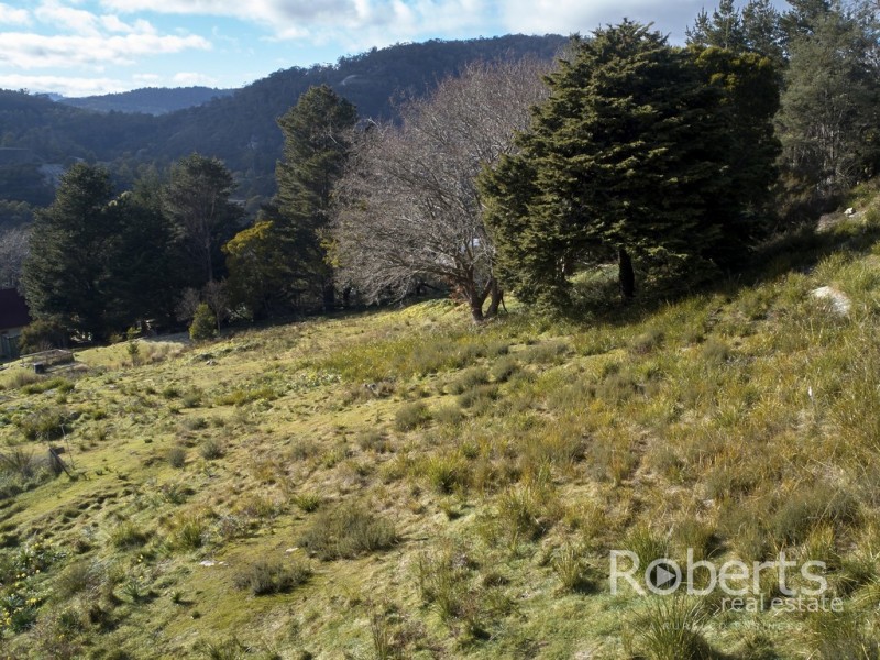 10 Mulhern Street, Derby TAS 7264