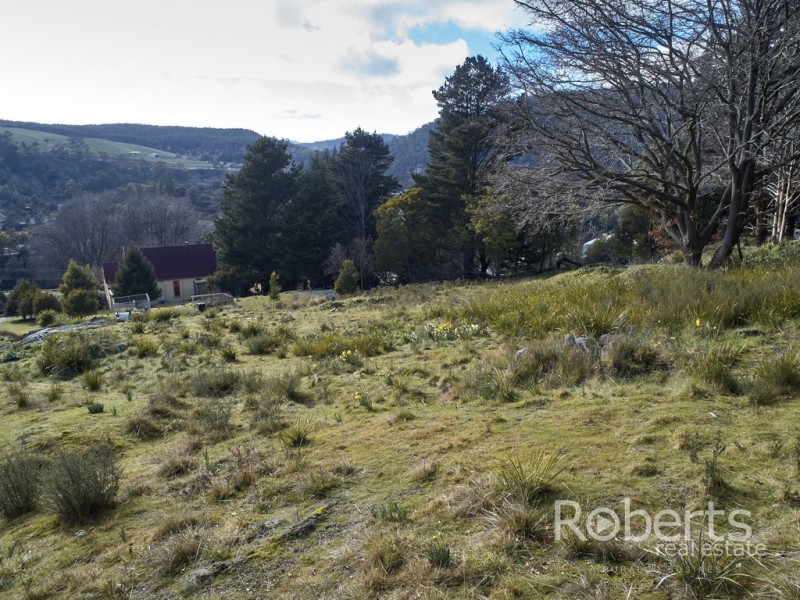 10 Mulhern Street, Derby TAS 7264