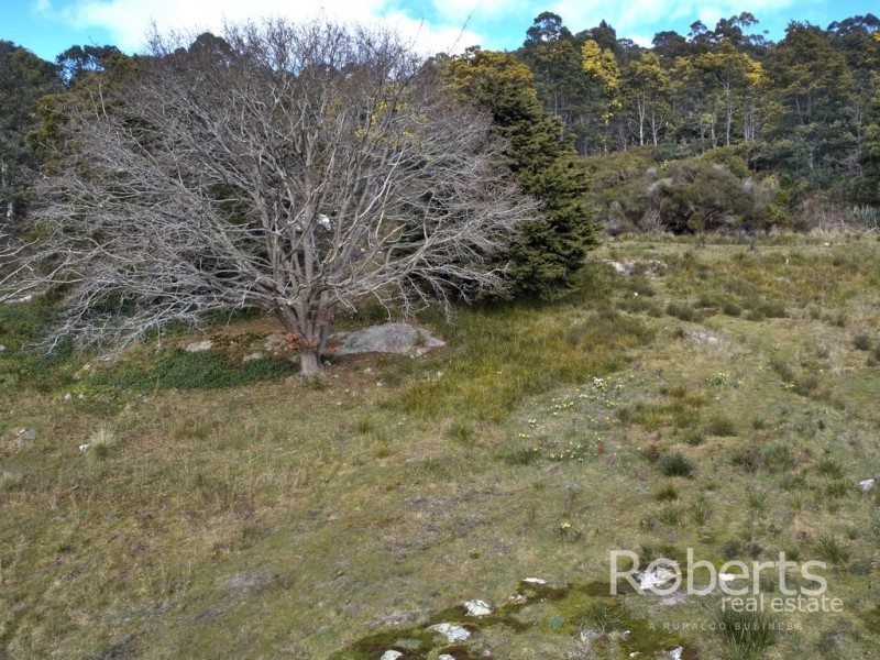 10 Mulhern Street, Derby TAS 7264