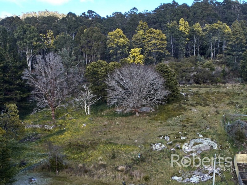 10 Mulhern Street, Derby TAS 7264