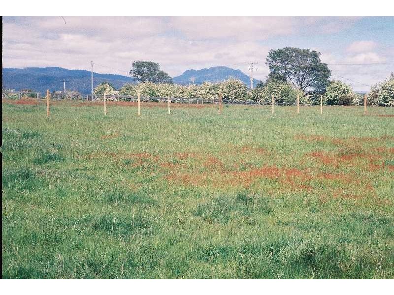 137 Mary Street, Westbury TAS 7303