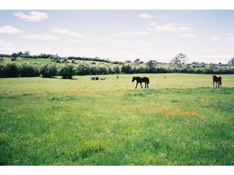 137 Mary Street, Westbury TAS 7303