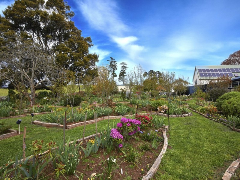 40-42 Winnaleah Road, Winnaleah TAS 7265