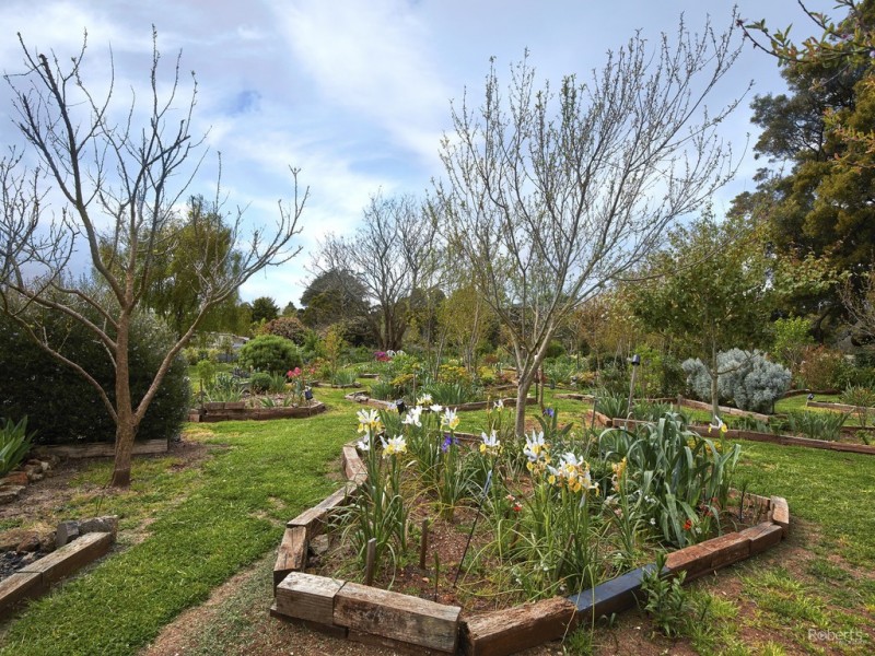 40-42 Winnaleah Road, Winnaleah TAS 7265