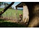 15 Reeves Road, Lower Barrington TAS 7306