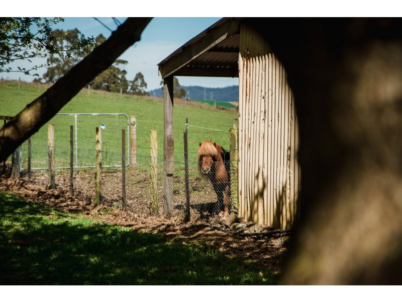 15 Reeves Road, Lower Barrington TAS 7306
