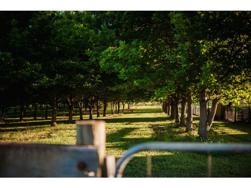 15 Reeves Road, Lower Barrington TAS 7306