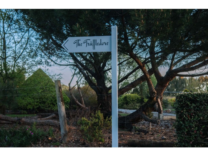 15 Reeves Road, Lower Barrington TAS 7306
