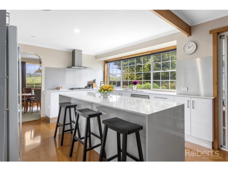 242 East Minstone Road, Scottsdale TAS 7260