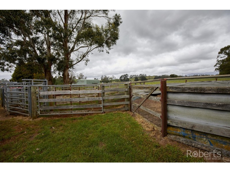 242 East Minstone Road, Scottsdale TAS 7260