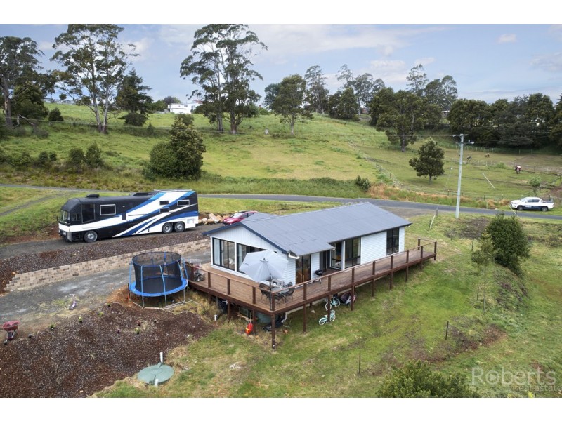 17 Pearce Street, Branxholm TAS 7261