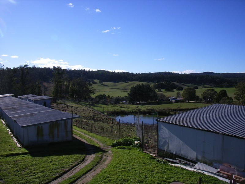 19 Terrys Road, Pipers River TAS 7252