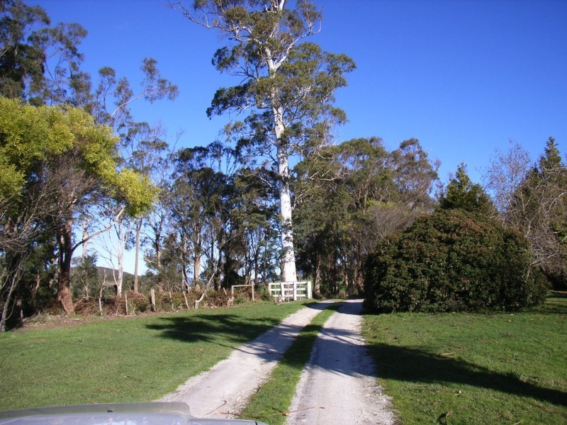 19 Terrys Road, Pipers River TAS 7252