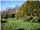 19 Terrys Road, Pipers River TAS 7252