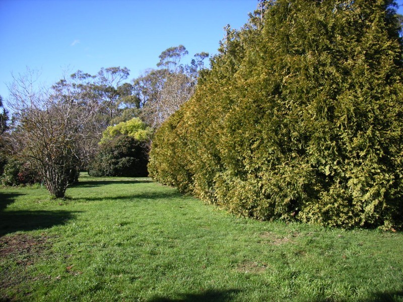 19 Terrys Road, Pipers River TAS 7252