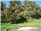 6 Queechy Road, Norwood TAS 7250