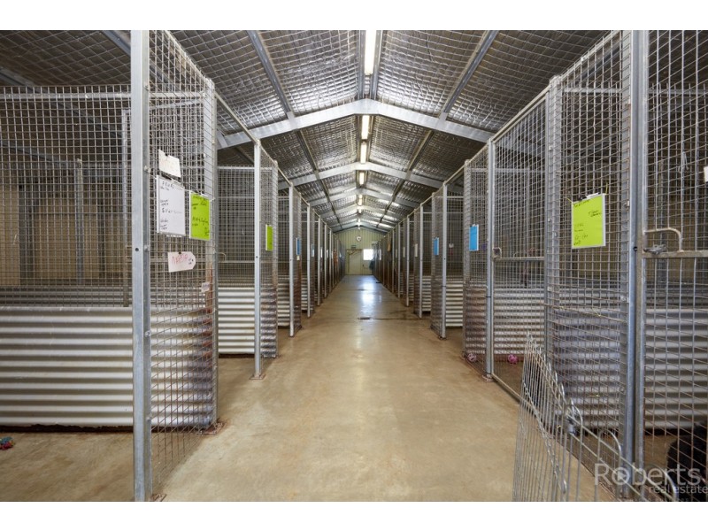 43 Main Street, Legerwood TAS 7263