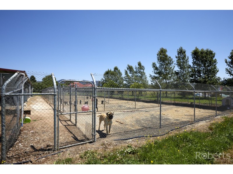 43 Main Street, Legerwood TAS 7263