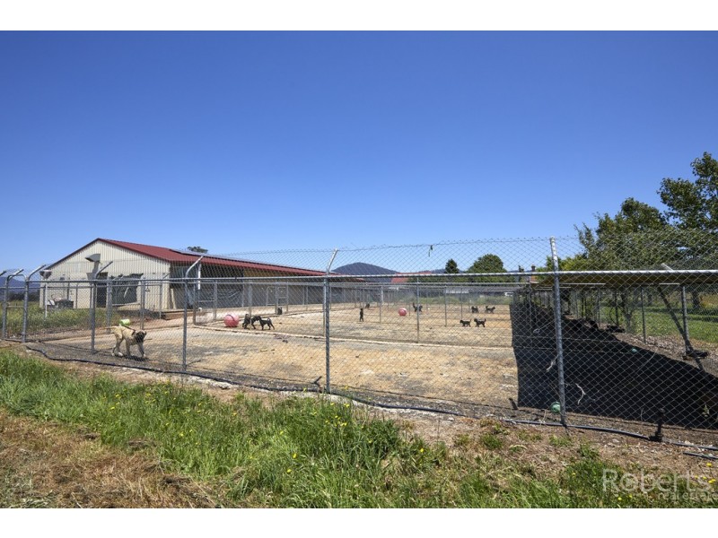 43 Main Street, Legerwood TAS 7263