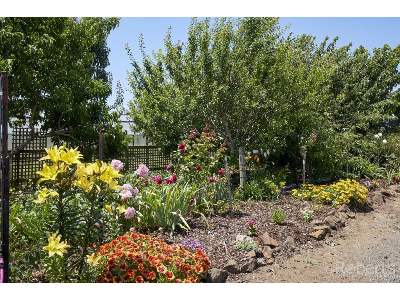 43 Main Street, Legerwood TAS 7263