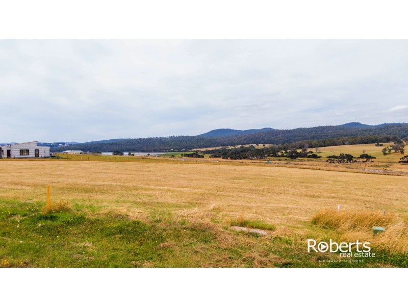 14 Millhaven Way, Swan Bay TAS 7252