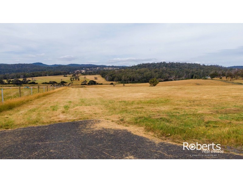 14 Millhaven Way, Swan Bay TAS 7252