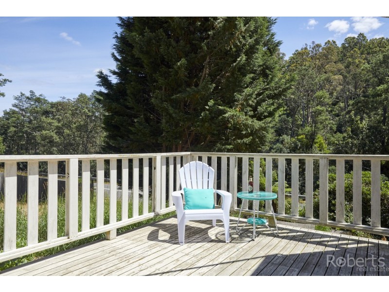 2 Hill Street, Derby TAS 7264