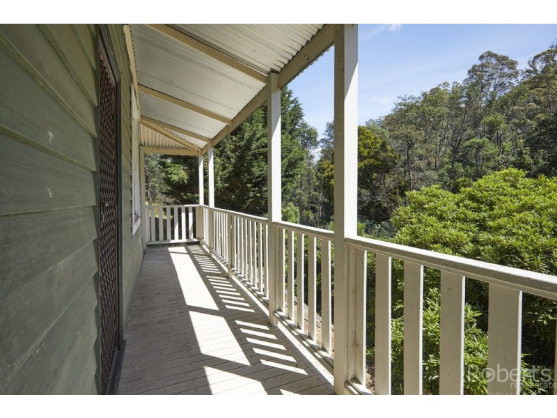 2 Hill Street, Derby TAS 7264