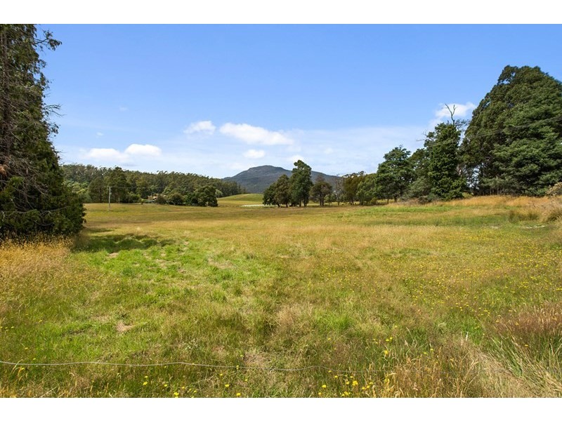 20 Browns Road, North Lilydale TAS 7268