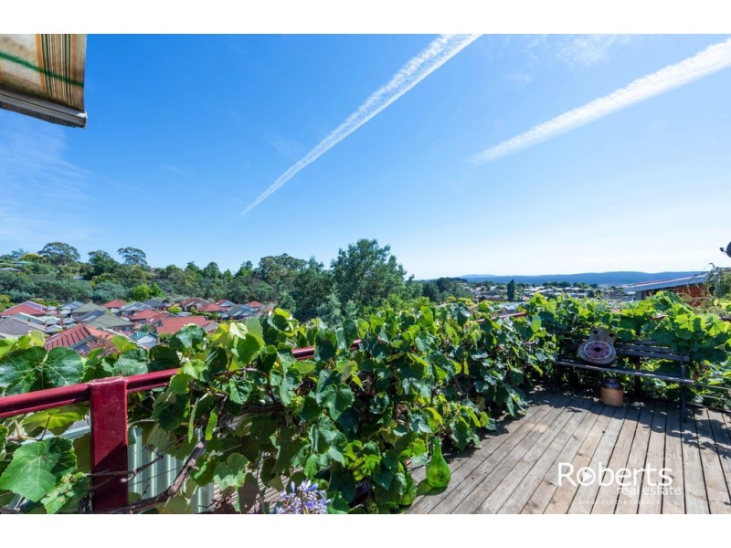 44 Shirley Place, Kings Meadows TAS 7249