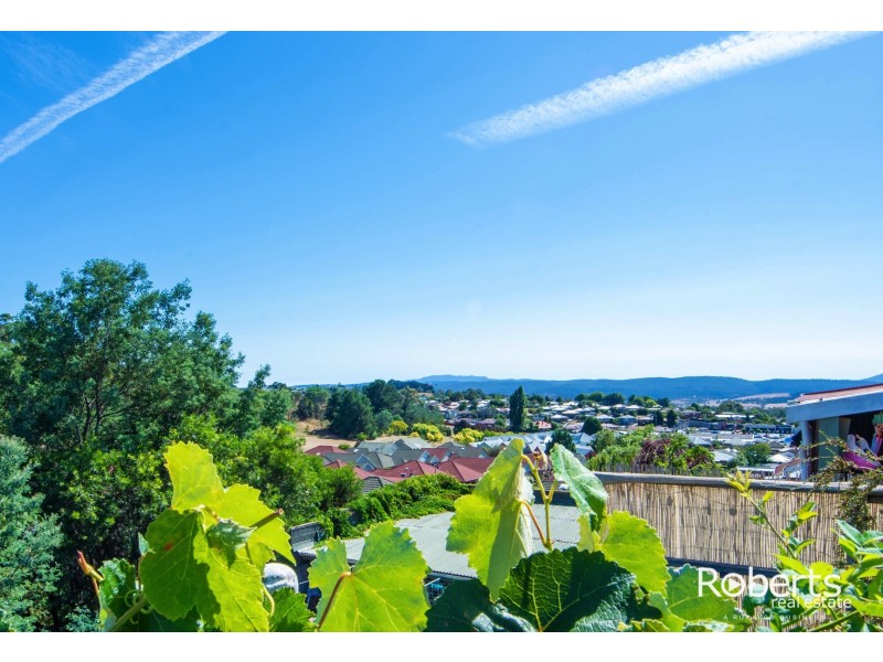 44 Shirley Place, Kings Meadows TAS 7249