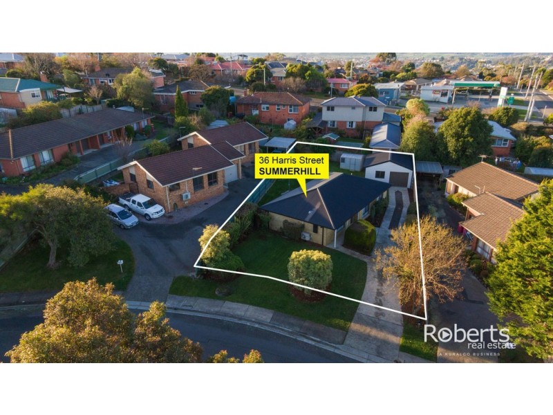 36 Harris Street, Summerhill TAS 7250