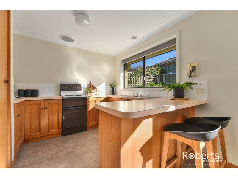 36 Harris Street, Summerhill TAS 7250