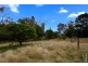 2565 Gladstone Road, Gladstone TAS 7264