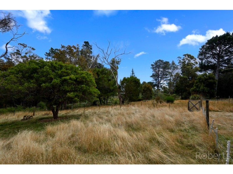 2565 Gladstone Road, Gladstone TAS 7264