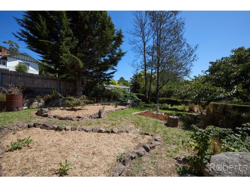 51 Main Street, Derby TAS 7264